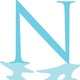 Natural Reflections Pools & Spas
