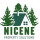 Nicene property solutions