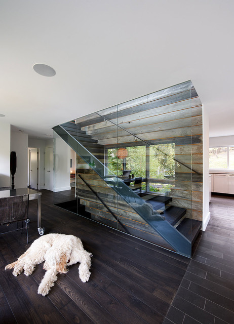Linden Hills Remodel trendy-trappe
