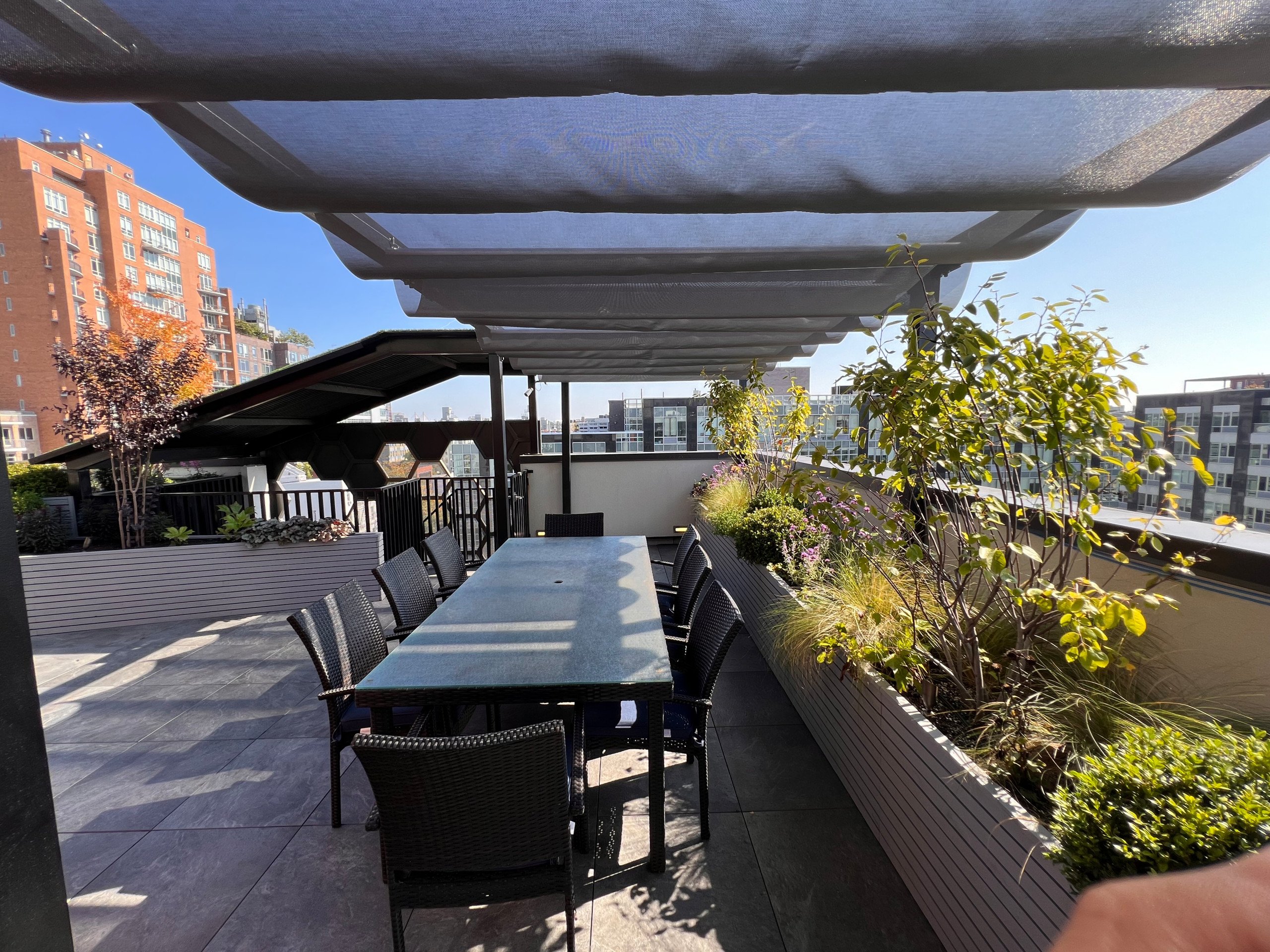 Williamsburg Roof Garden