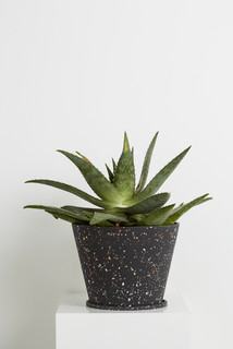 Terrazzo Pots Collection