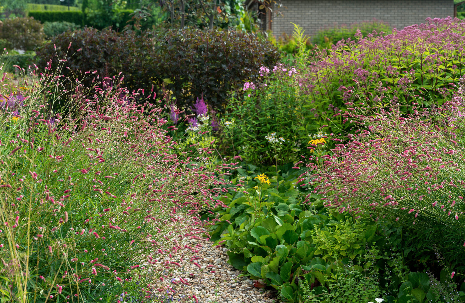 Проект Сада  в "Бельгийской деревне "