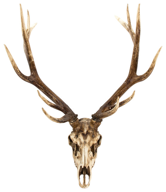Deer Skull Wall Decor Southwestern Sculptures By Zentique Deer Skull Wall Decor