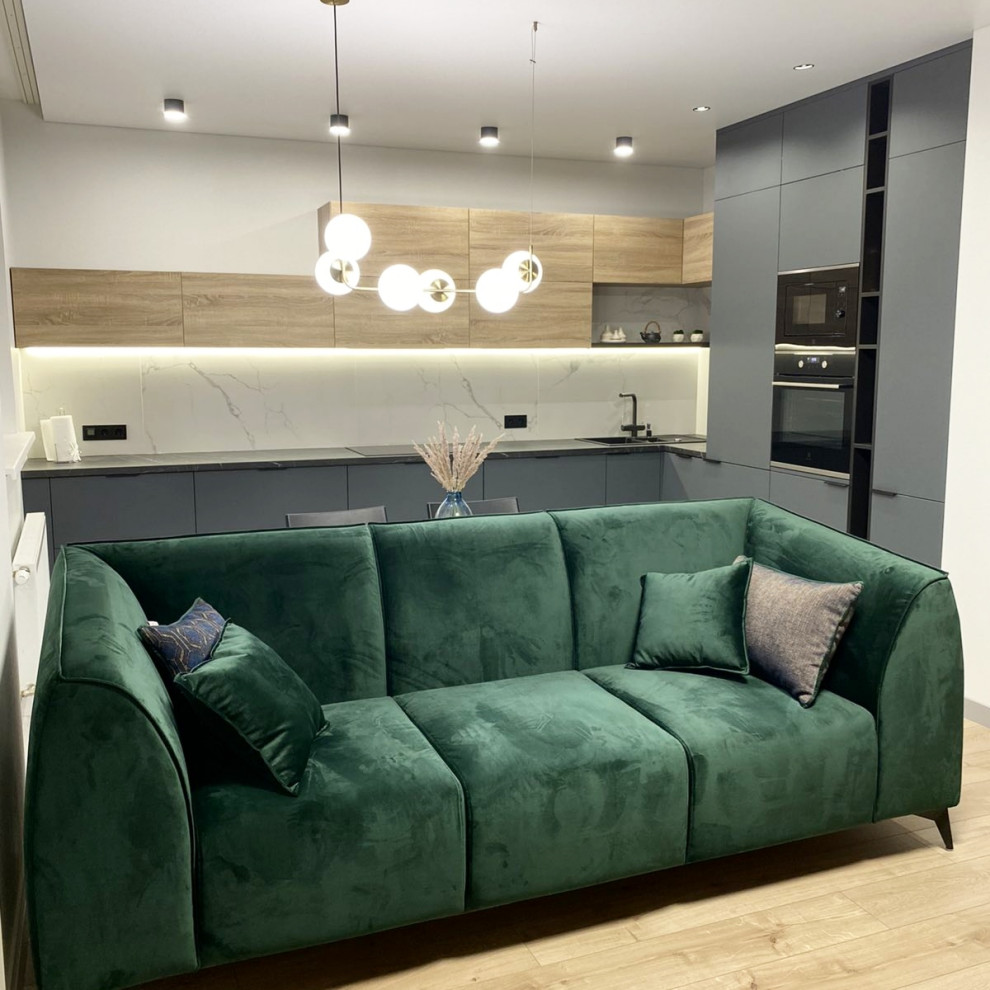 Contemporary apartment