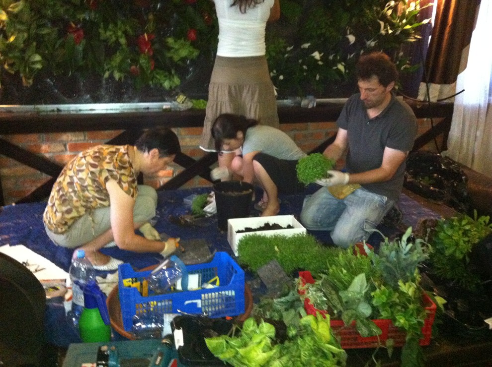 Вертикальные сады