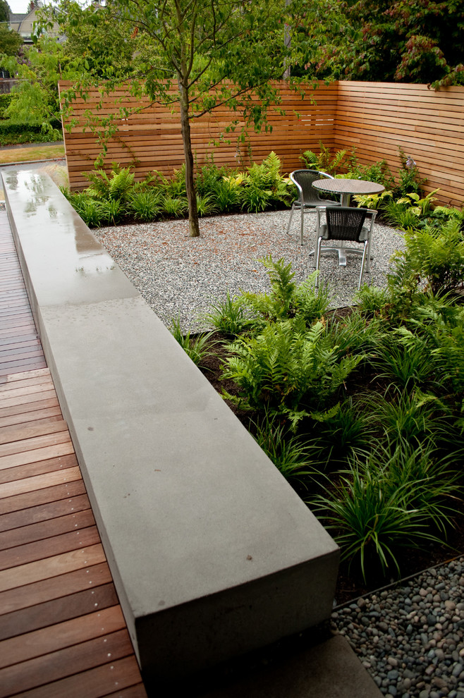 Modern garden in Seattle.
