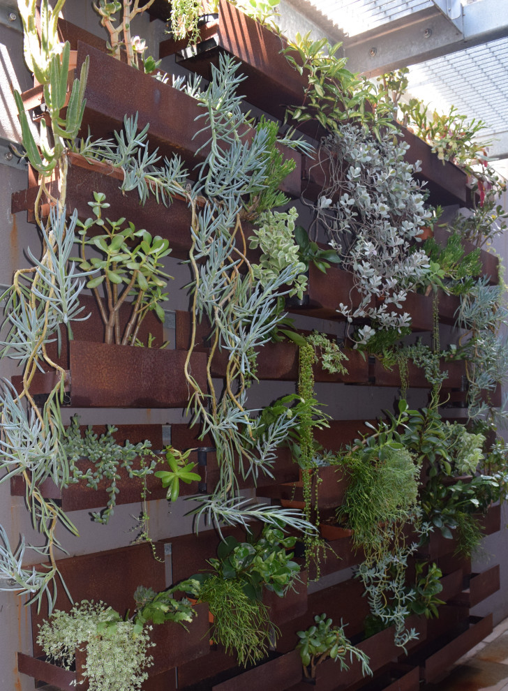 Design ideas for a contemporary garden in Perth.