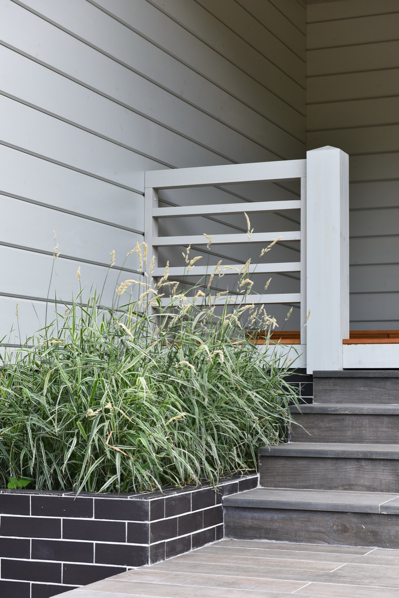 Северо-американский колорит