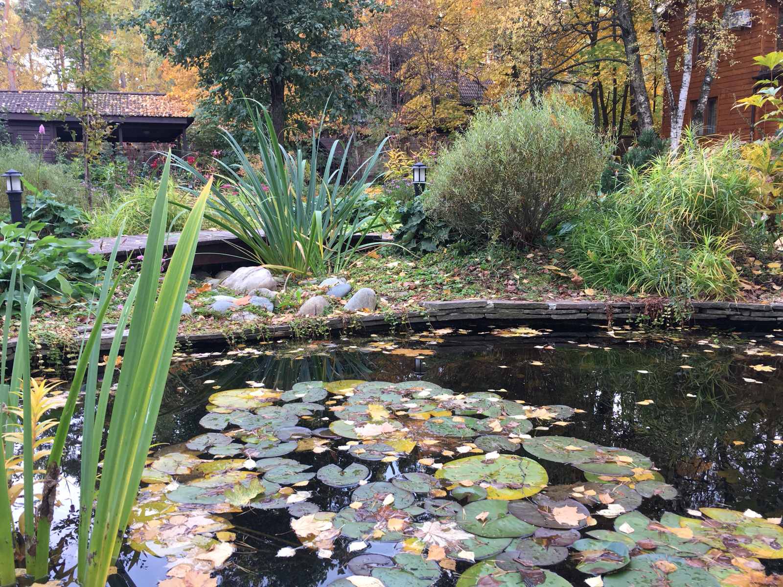 Белкин сад. Осень 2019