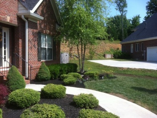 Inspiration for a mid-sized transitional full sun front yard landscaping for spring.