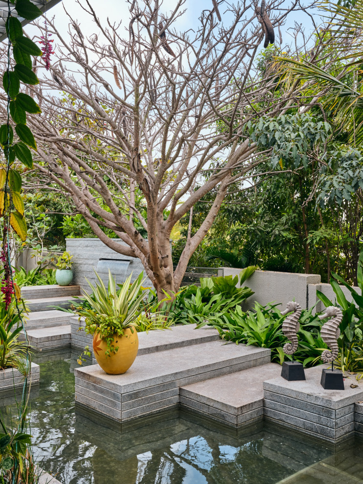 Inspiration for a world-inspired garden in Bengaluru.
