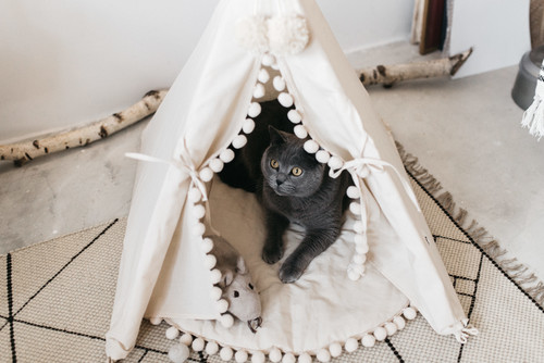 Как самому построить дом для кошки — ВикиСтрой