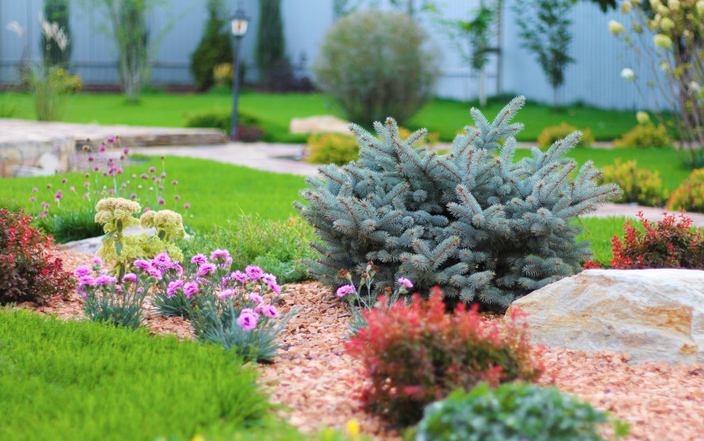 Imagen de jardín contemporáneo de tamaño medio en verano en patio con roca decorativa, exposición total al sol, gravilla y con metal