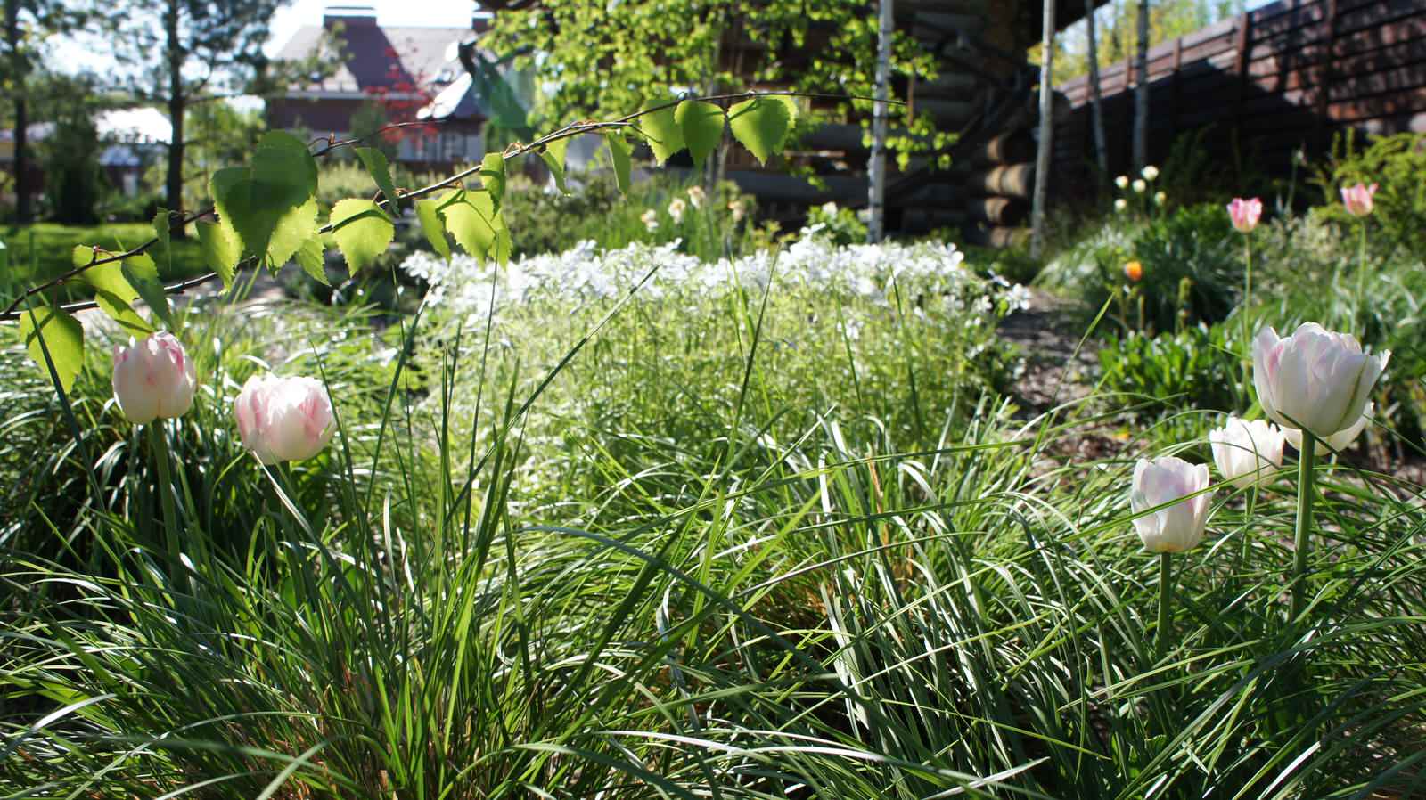 участок в Прохорово