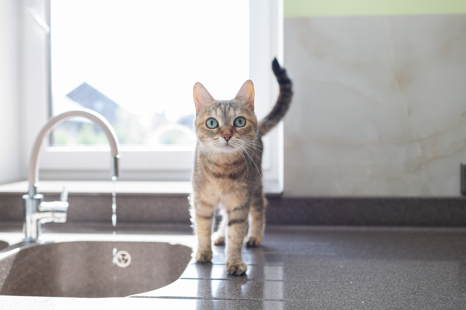 Кухня с островом и каменной столешницей