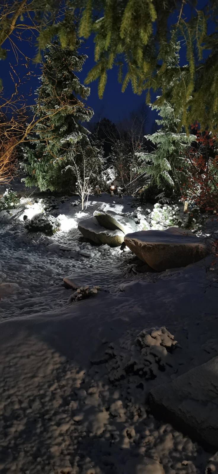 Лесное озеро