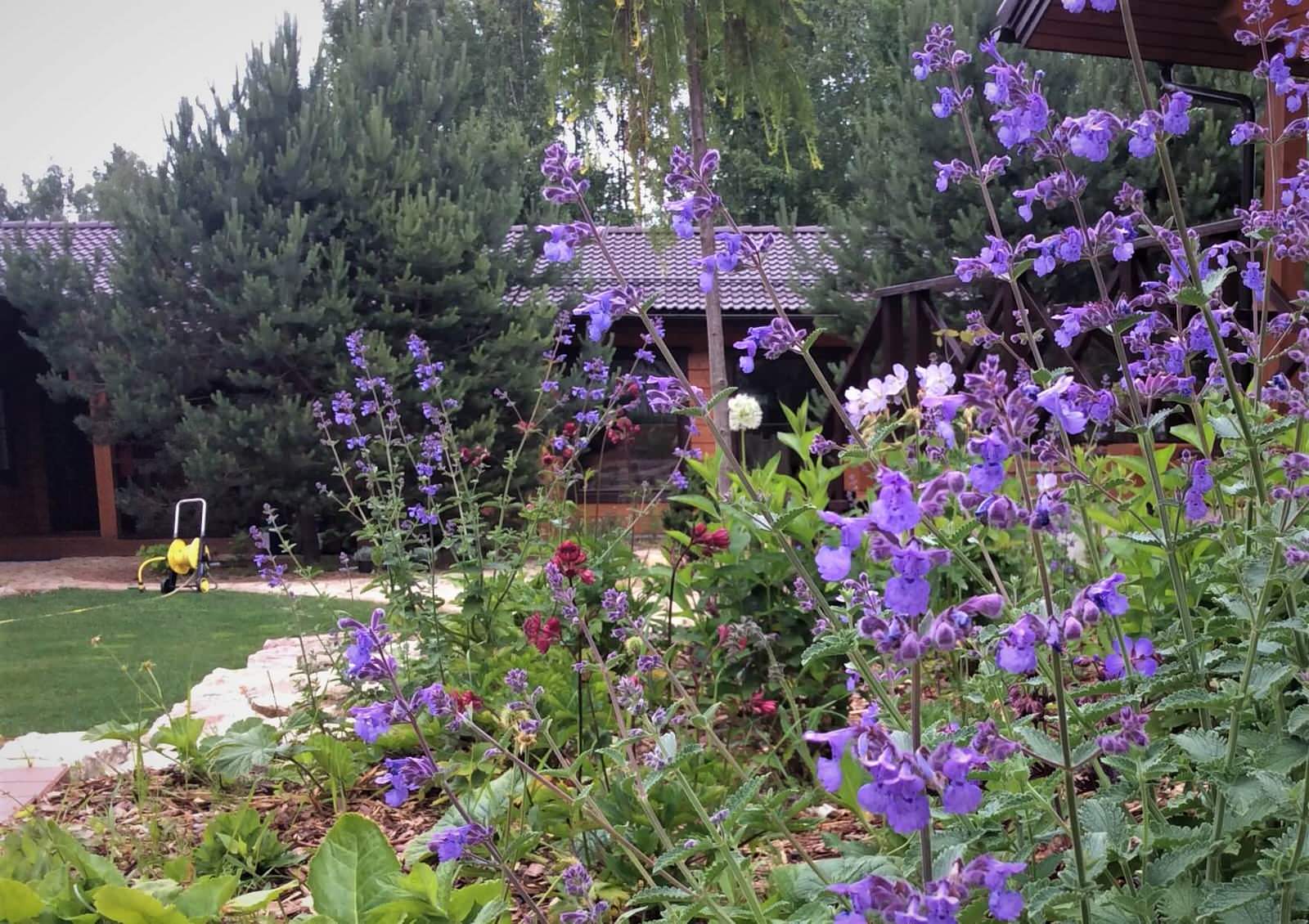 ПОЛЕТ ШМЕЛЯ