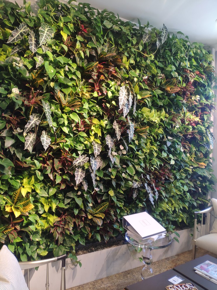 Вертикальный сад фитостена