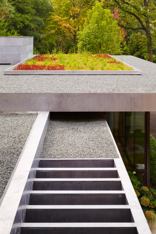 Design ideas for a mid-sized contemporary rooftop full sun garden in Chicago with gravel.