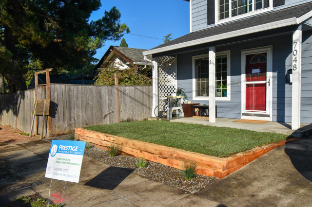 Juniper Retaining Wall garden