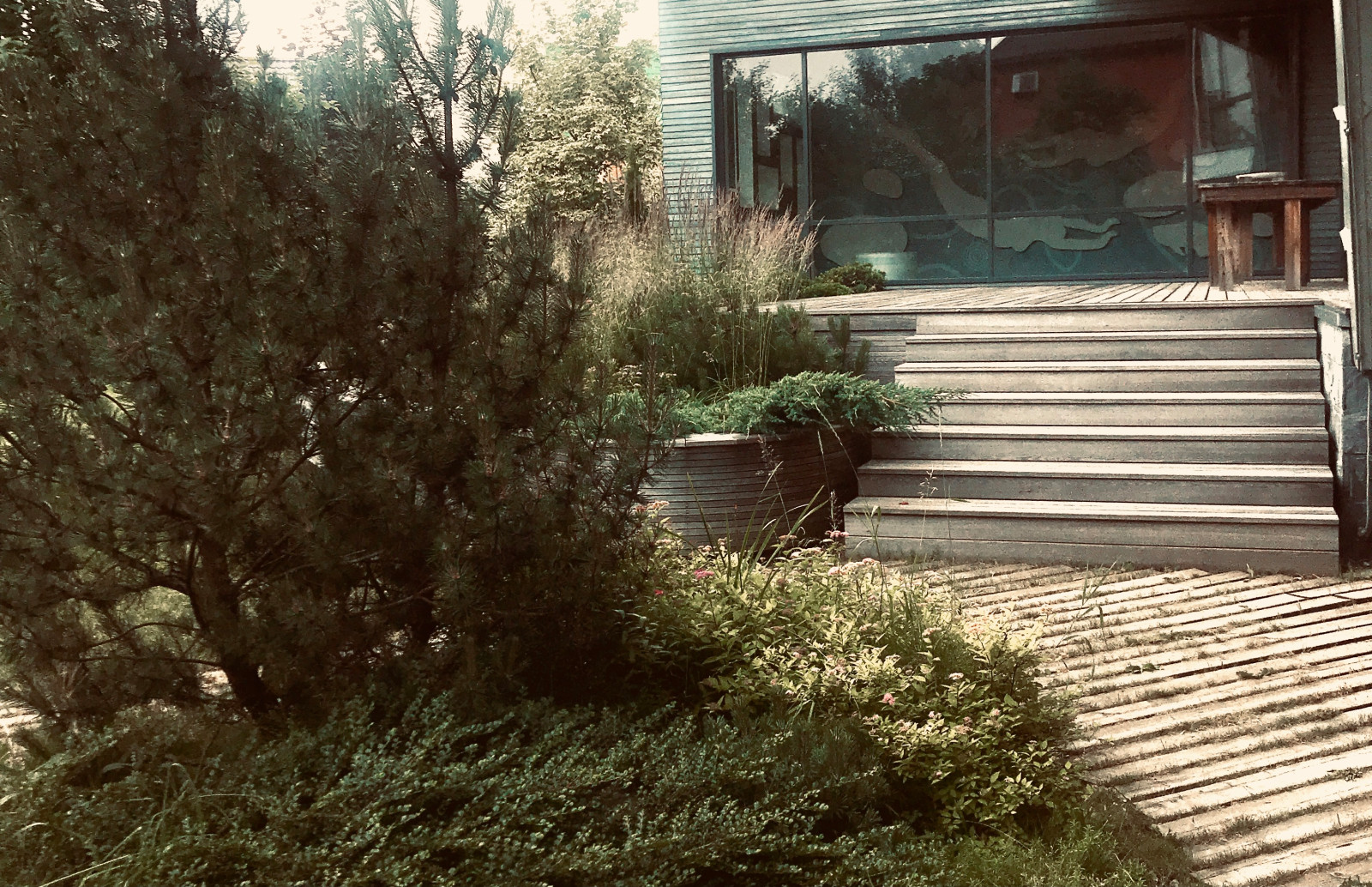 Проект «Равновесие»