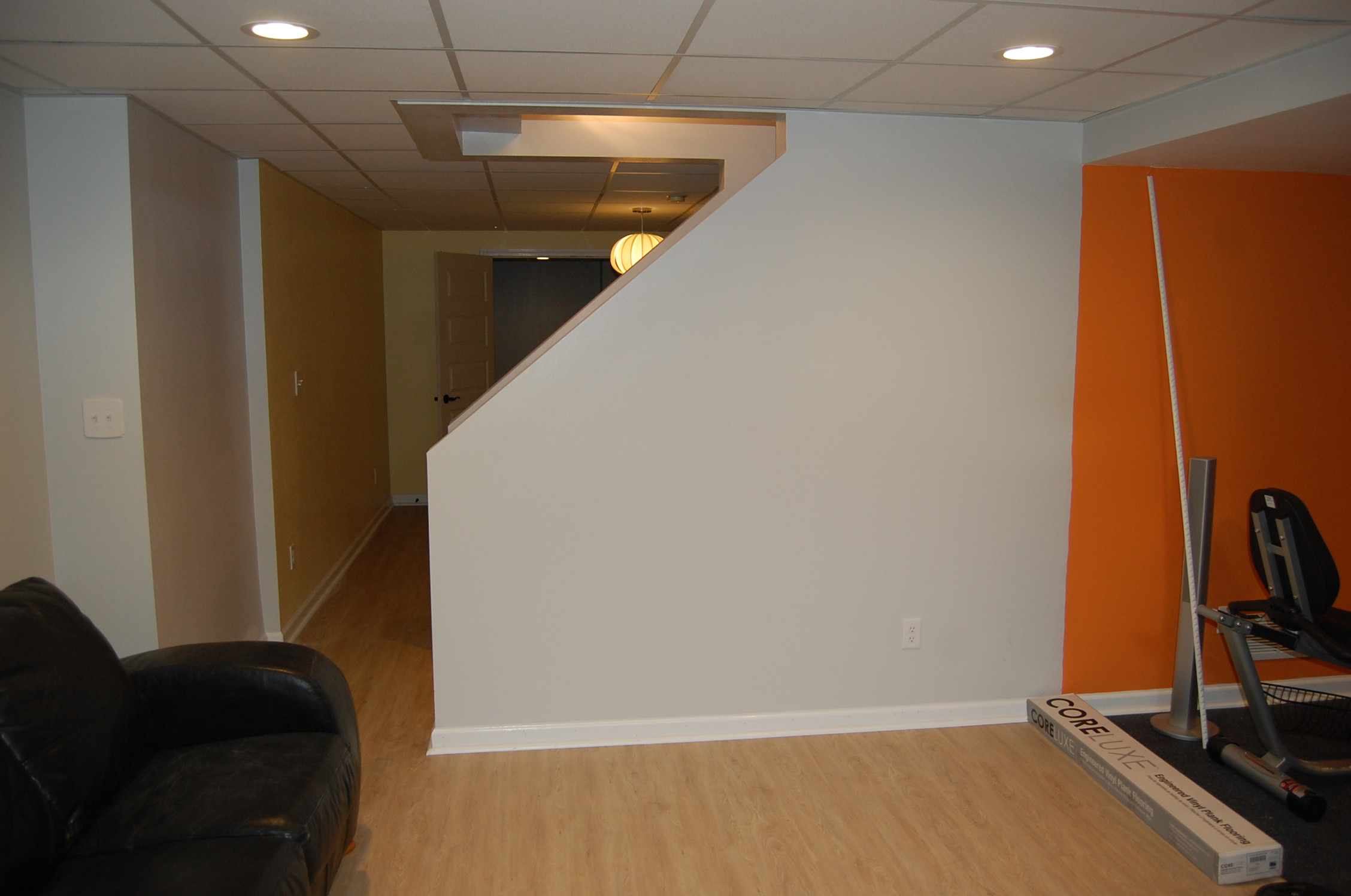 Basement office and work out area
