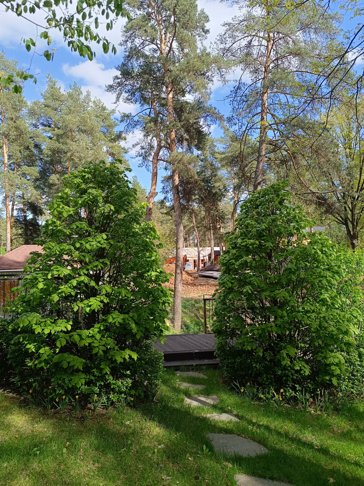 Суханово парк