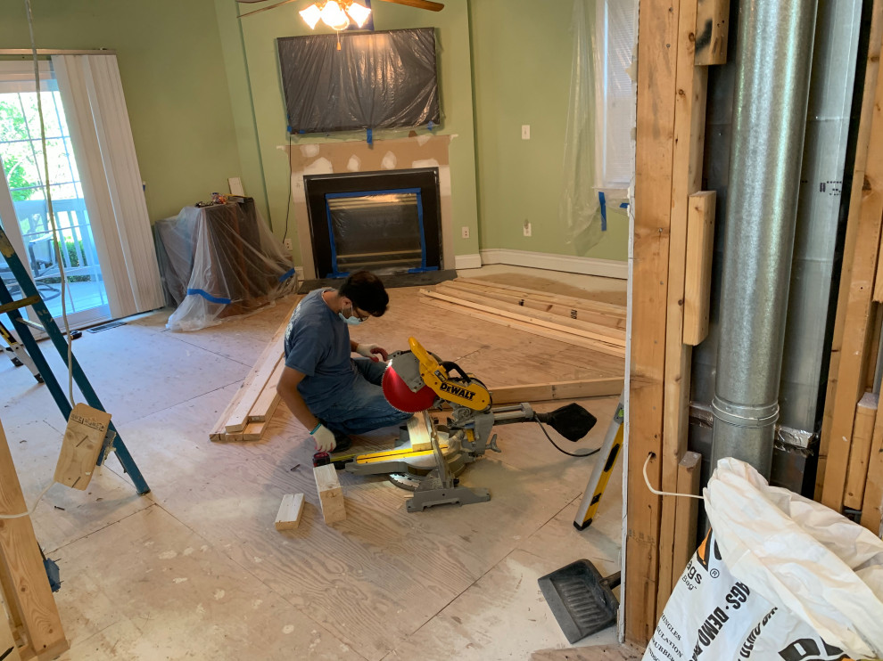 Arlington whole house remodel