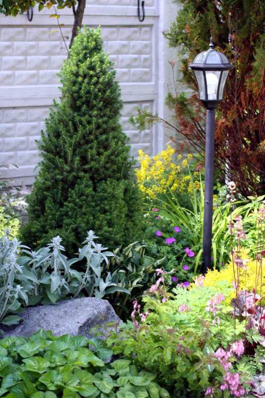 Английский сад