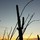 Last commented by lissome8