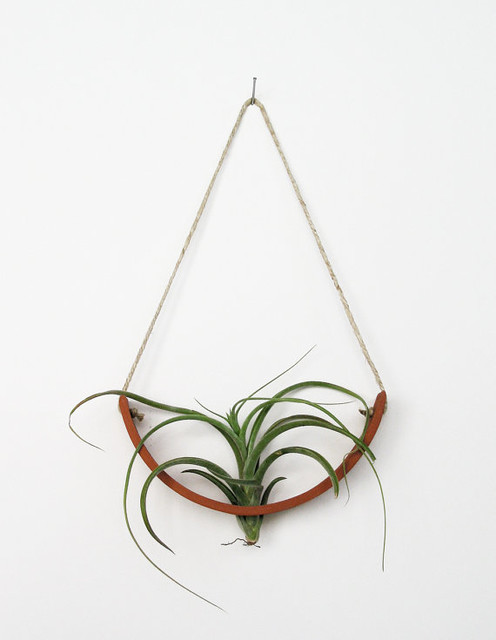 Hanging Air Plant Cradle, Natural TerraCotta Planter Vase by Mud Puppy