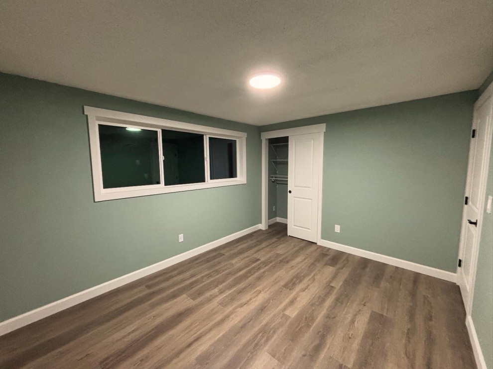 Basement Remodel