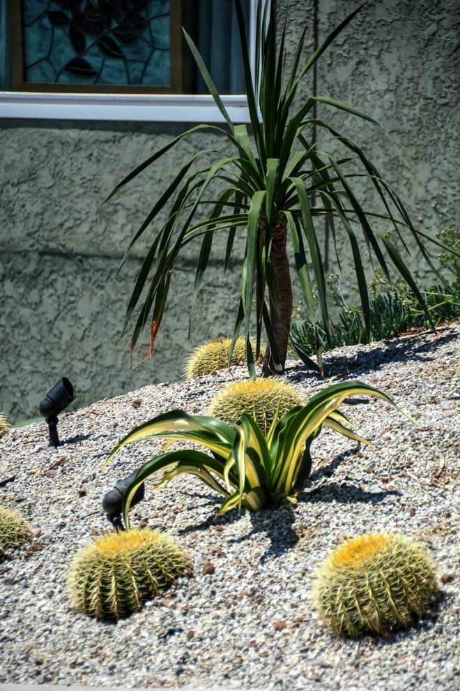 Design ideas for a mid-sized contemporary front yard full sun xeriscape for summer in Los Angeles with gravel.
