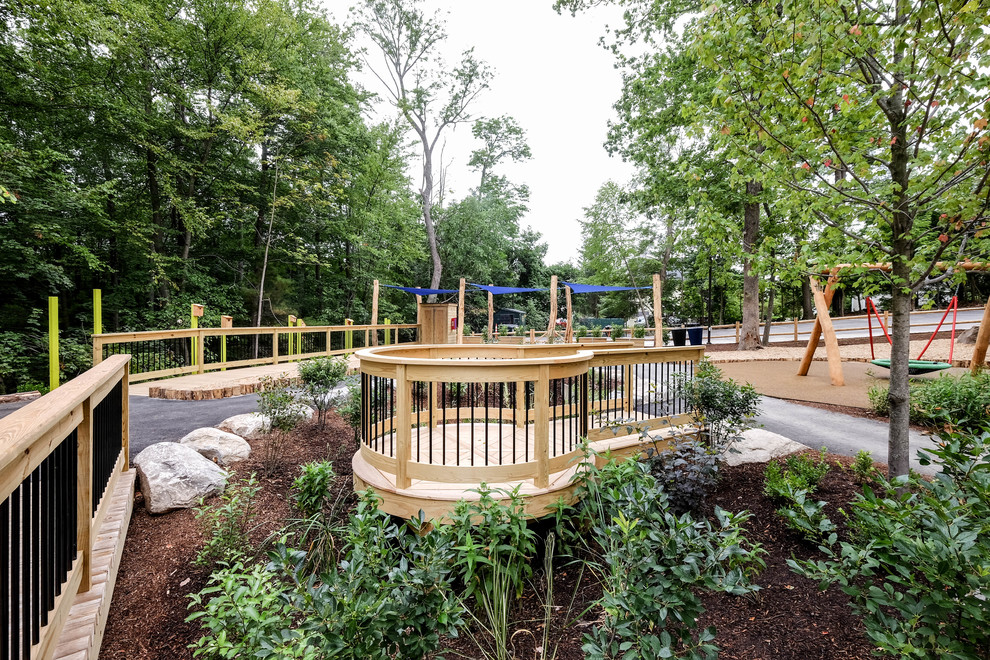 Discovery Woods