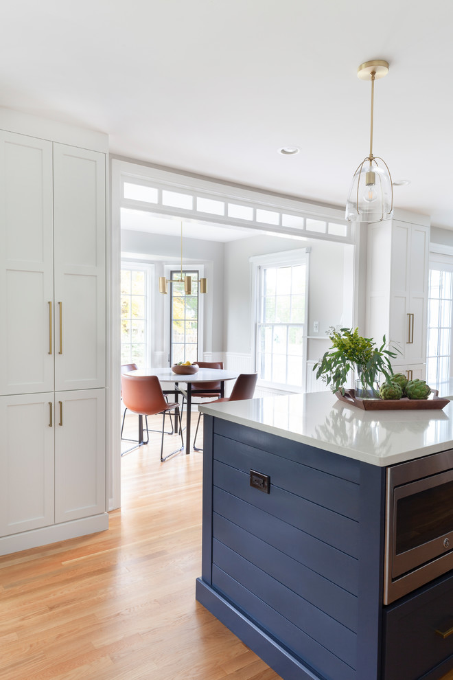 A Bold and Beautiful Blue Kitchen in Glen Ellyn - Transitional ...