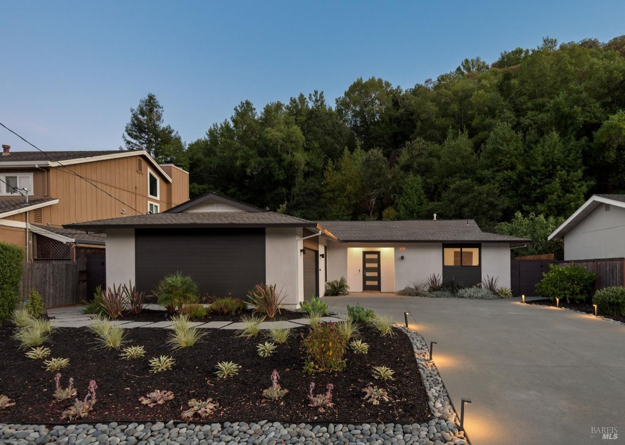 Contemporary Luxe Backyard