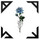 eva_student9