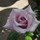 Last commented by JewelsG Z9a