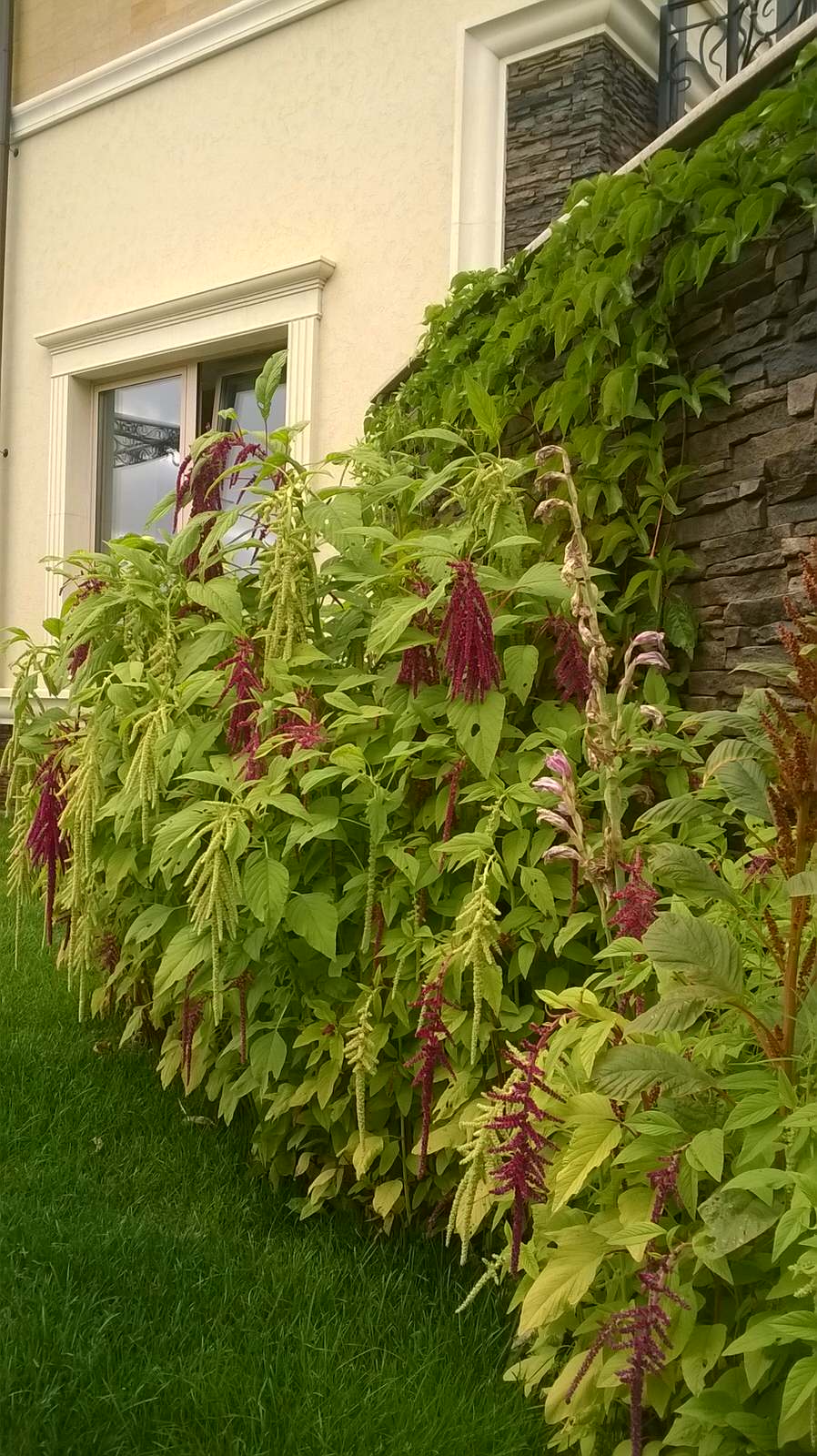 Усадьба на Новой Риге