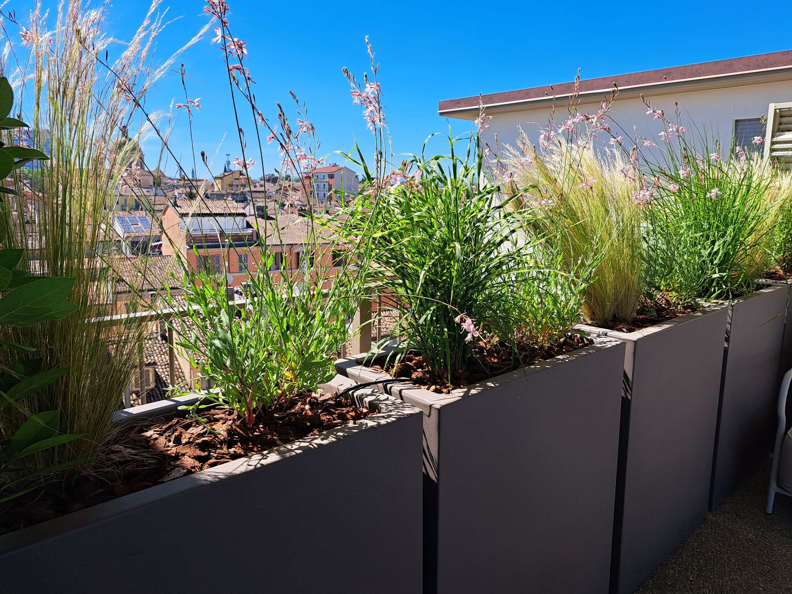 Realizzazione fioriere e vasi per un terrazzo sempreverde (o quasi)