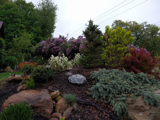 2016 Photos contemporary-garden