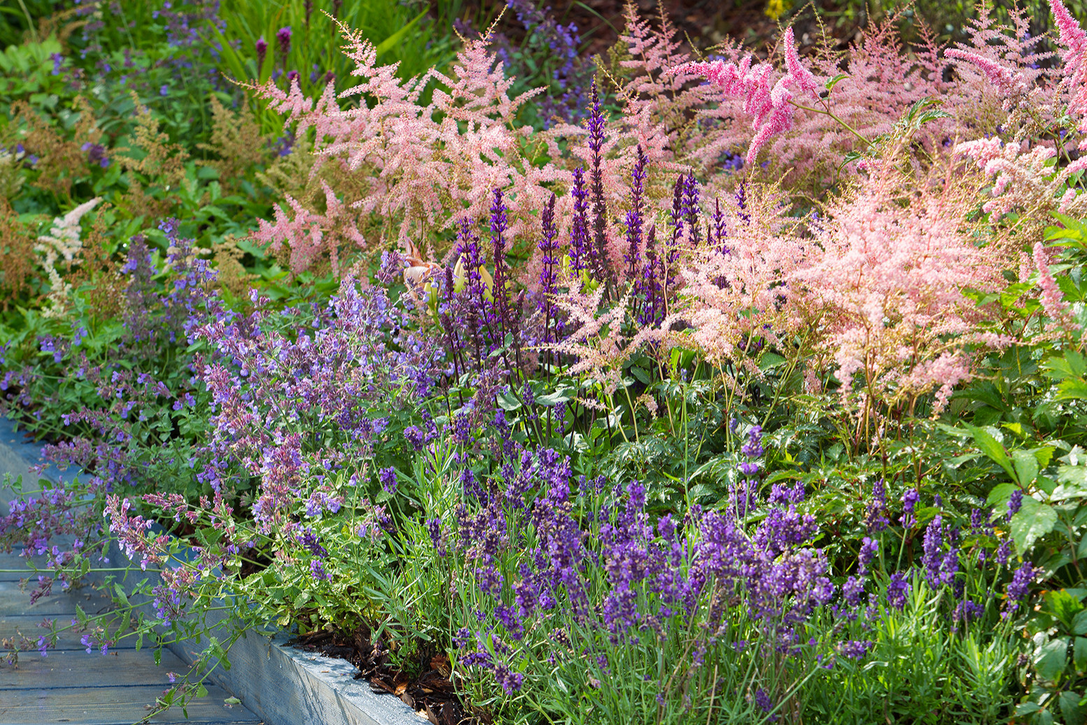 Фотосъемка Сада   по  Метрелинку на MFS 2019 Авторы М,Береснева М. ПРИНТЦ