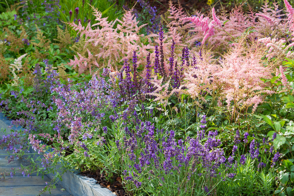 Фотосъемка Сада   по  Метрелинку на MFS 2019 Авторы М,Береснева М. ПРИНТЦ