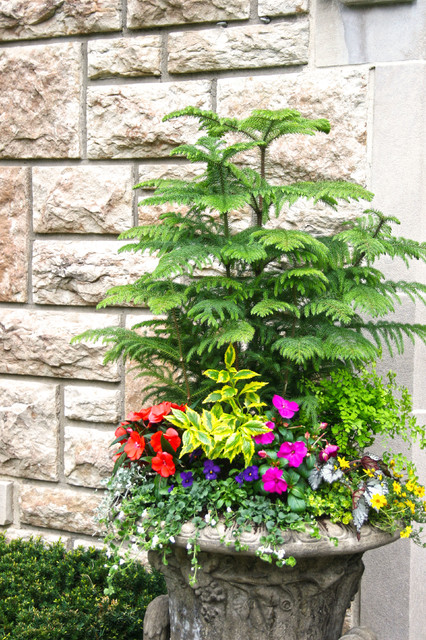 2014 Symphony Designers' Showhouse american-traditional-garden