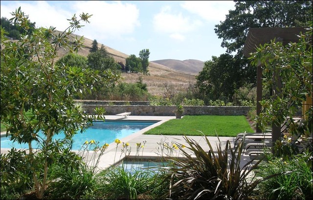regional pool modern-pools