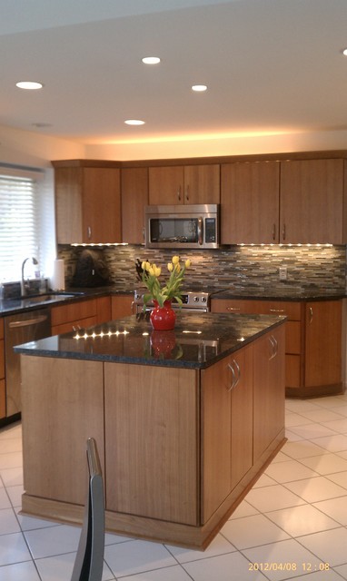 Kitchen Remodel contemporary-koek
