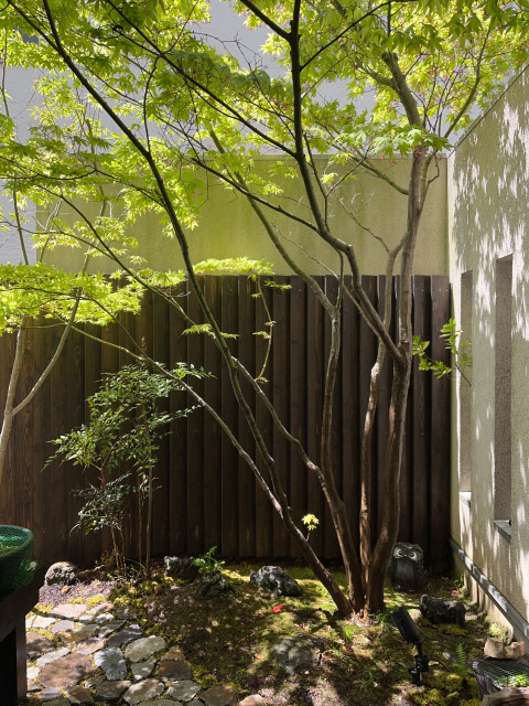 薬草の庭 nordico-jardin