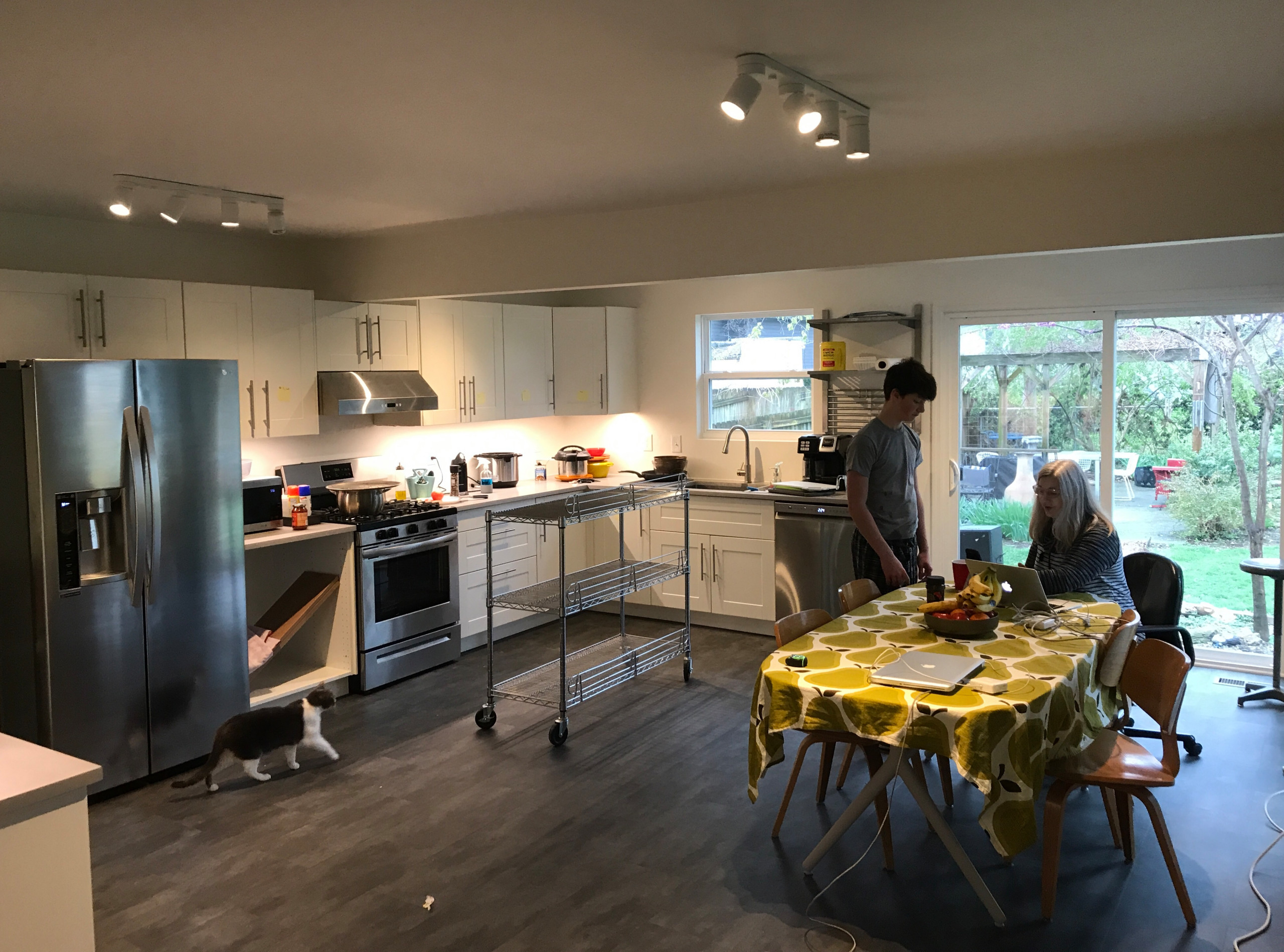 Stoecklein Residence - Sunroom/Kitchen Expansion - Custom Design