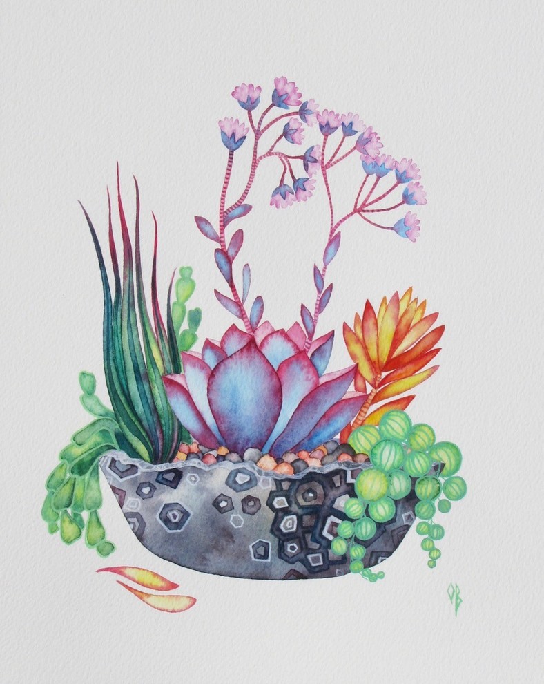 Succulent Painting, Watercolor Original Botanical Illustration by Olena Baca