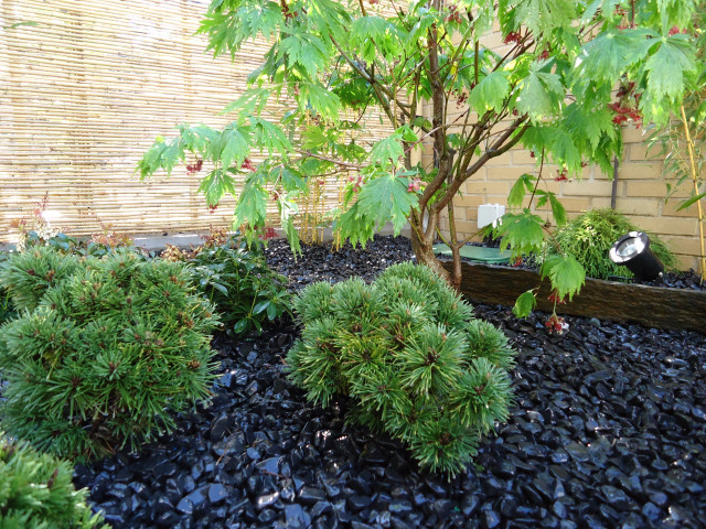 p asiatisch-garten